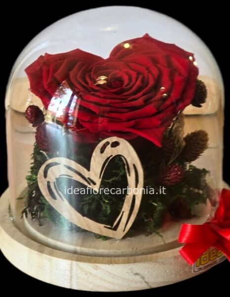 Rosa rossa stabilizzata a forma di cuore diametro 14 cm