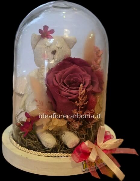 Rosa stabilizzata nascita gatto fuxia