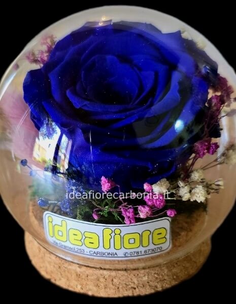 Rosa stabilizzata blu